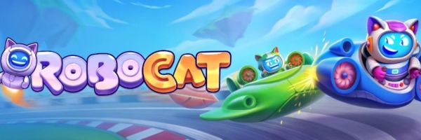 Formularz zlecenia wypłaty w Robocat z podanym czasem realizacji